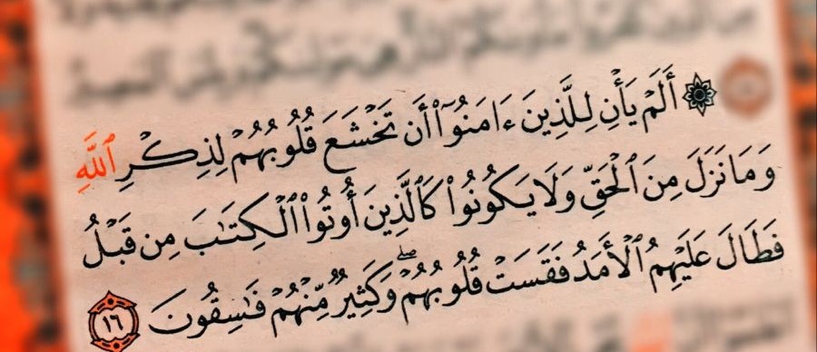 ‌الفُضَيْلُ ‌بْنُ ‌عِيَاضٍ.. آيةٌ تقودُه إلى الهداية!