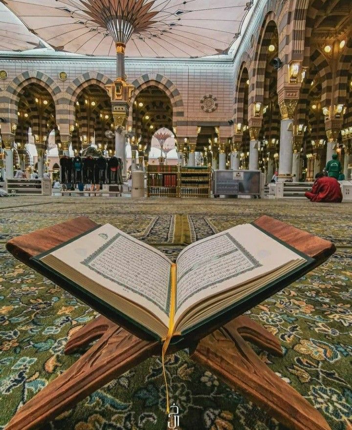 سباقُ التلاوة أم رحلةُ التدبُّر!📖.. أيُّهما أفضلُ في رمضان؟🤔