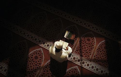 التزامٌ أم استبدال؟ تأملات في قوله تعالى (وَإِن تَتَوَلَّوْا يَسْتَبْدِلْ قَوْمًا غَيْرَكُمْ)