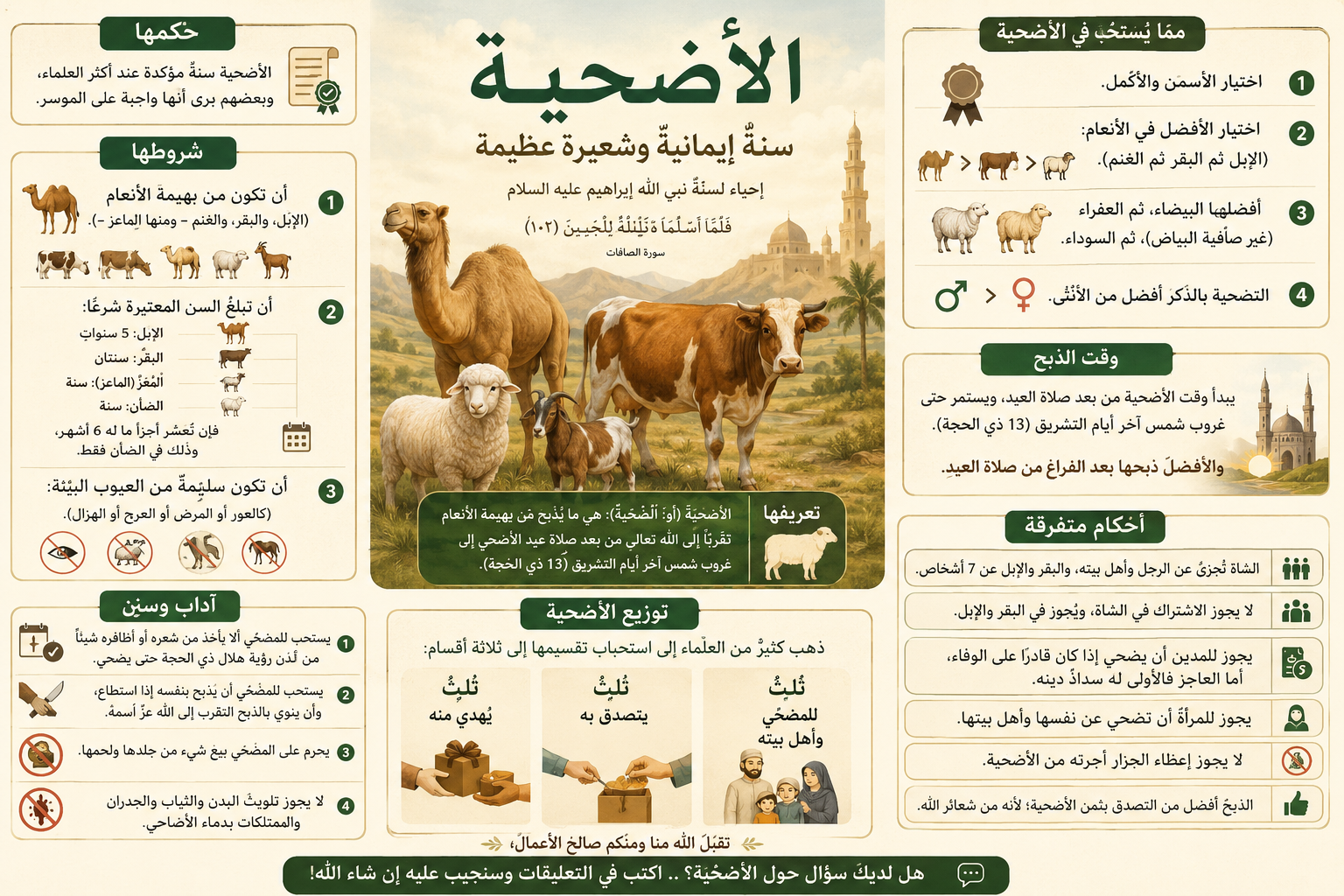 دليلك المختصر لأحكام الأضحية وآدابها!🐑